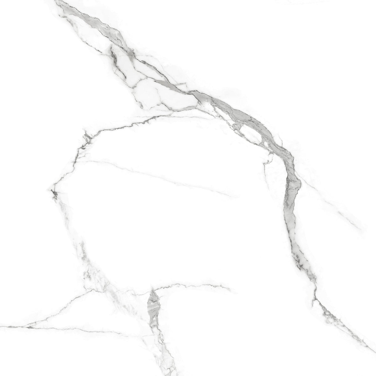Porcelanato 60x60 Statuario Rich Silver - imagen principal