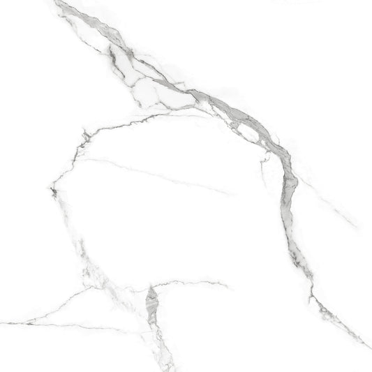 Porcelanato 60x60 Statuario Rich Silver - imagen principal