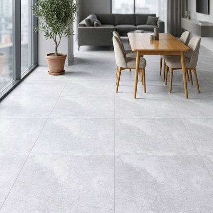 Porcelanato 60x60 Apriko Silver - ambiente instalado 2